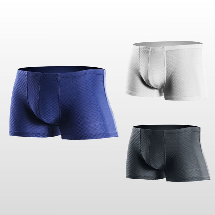 Men's Grid Pattern Ice Silk Mesh Trunks (3-Pack) JEWYEE KM 192