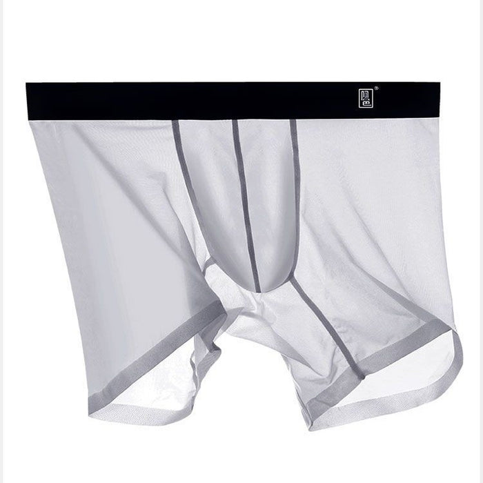 Jewyee Men's Ice Silk Underwear Breathable Soft Ultra-Thin Mesh Boxer  Briefs,Jewyee Mens Ice Silk Underwear (Green,L)