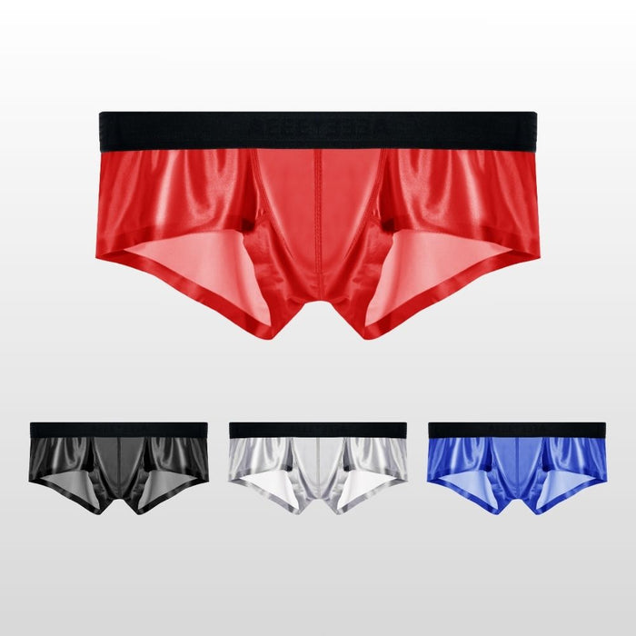 4-Pack Men's Satin-Finish Ice Silk Low-Rise Underwear - JEWYEE AY 876 B