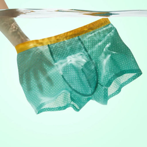 Mesh Underwear —