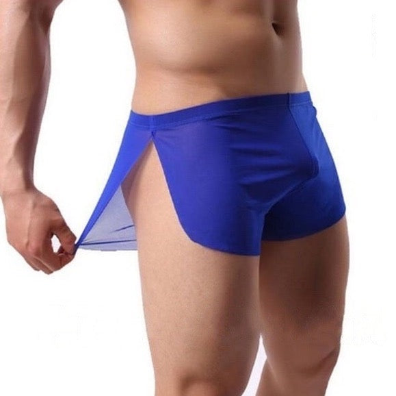 See-Through Mesh Side Split Underpants for Men ( 5-Pack)JEWYEE A820