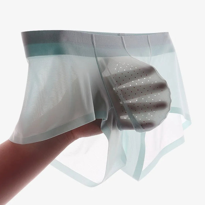 Mens Ice Silk Sheath Underwear With Sissy Pouch And Airplane Socks
