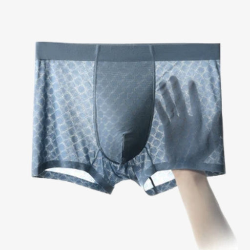 Running Men Ice Silk Mesh Underpants for Men (4-Pack) JEWYEE 194 —