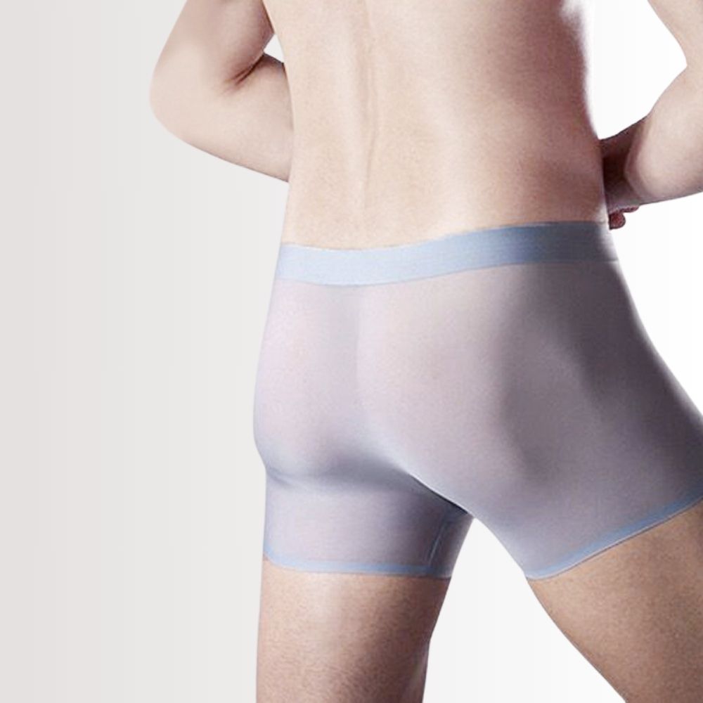 Jewyee Mens Ice Silk Underwear, Ultra Thin Ice Silk Seamless Underpants for  Men, Mens Silk Seamless Underwear, Breathable, Quick-Drying (Color : B,  Size : Large) : : Clothing, Shoes & Accessories