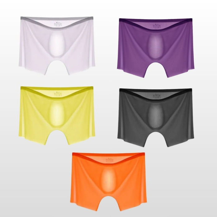 Men's  3D seamless pouch See-through Ribbed Ice Silk Trunks Up to Size XXL (5-Pack) JEWYEE AY 813