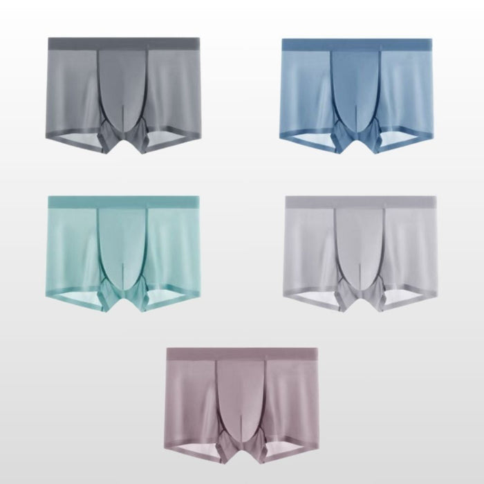 Ultra Thin Ice Silk Underpants for Men（ 5-Pack)  JEWYEE 1118