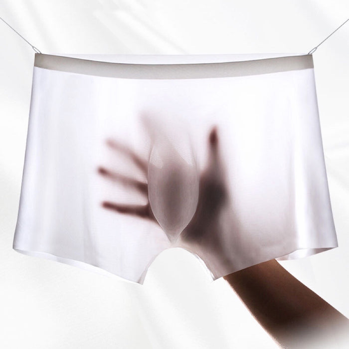 Jewyee Men's Ice Silk Underwear Breathable Soft Ultra-Thin Mesh Boxer  Briefs,Jewyee Mens Ice Silk Underwear (Coffee,2XL)