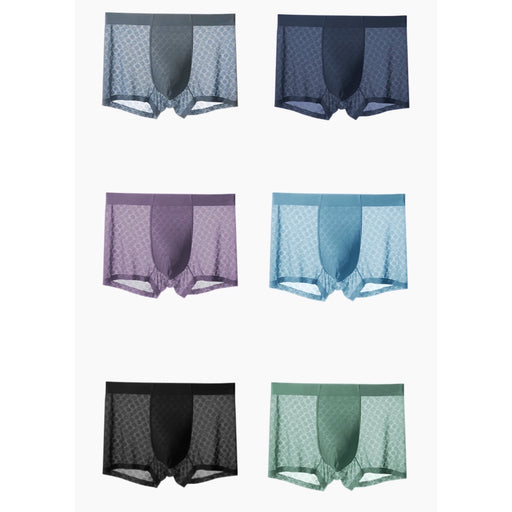 Jewyee Men's Ice Silk Underwear Breathable Soft Ultra-Thin Mesh Boxer  Briefs,Jewyee Mens Ice Silk Underwear (3-E,2XL)